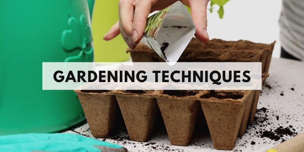 gardening techniques
