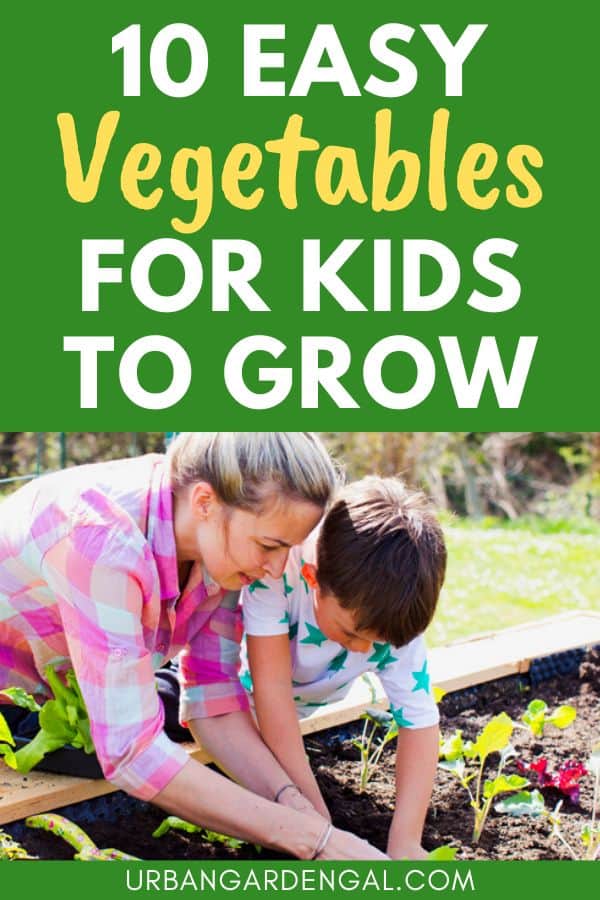 easy vegetables for kids to grow