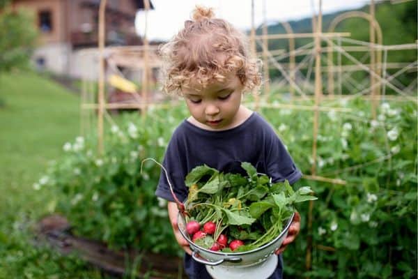 girl growing radishes