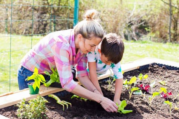 kids growing vegetables