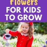 easy flowers for kids to grow