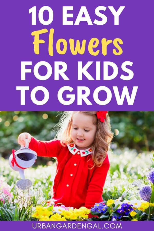 growing flowers with kids