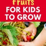fruits for kids to grow