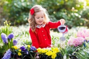 Read more about the article 10 Easy Flowers for Kids to Grow