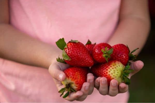 kids growing fruit