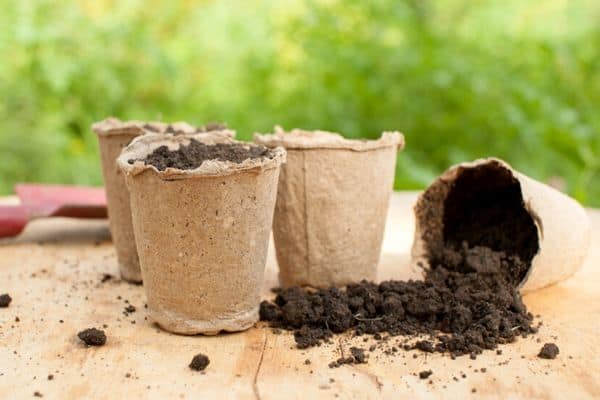 compostable pots