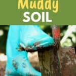 fix muddy soil for planting