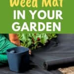 weed mat in the garden