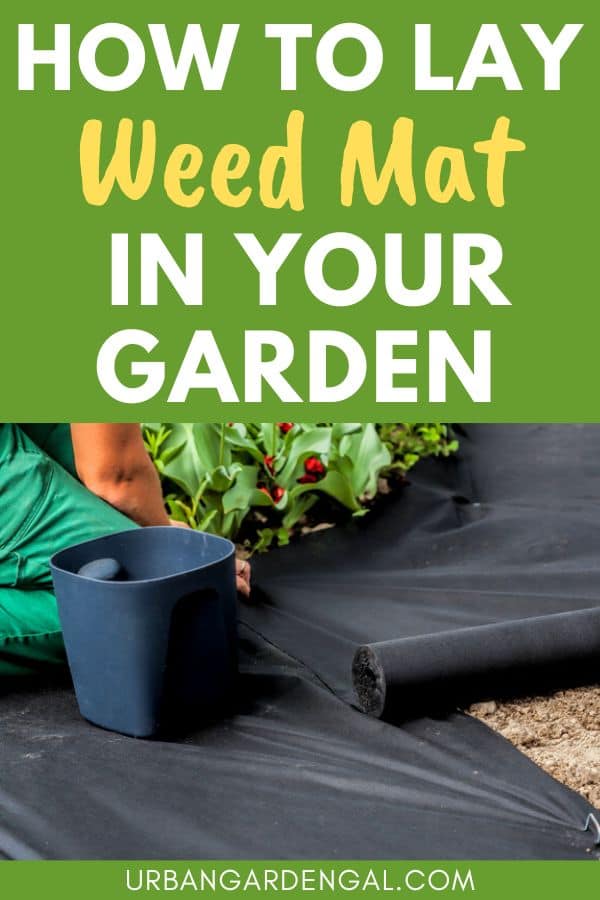 laying weed mat