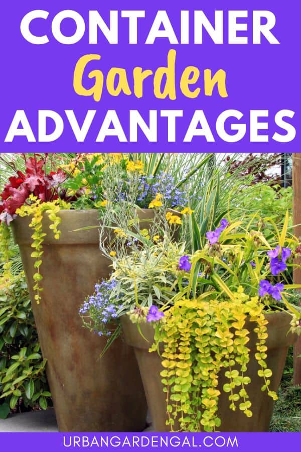 container gardening advantages