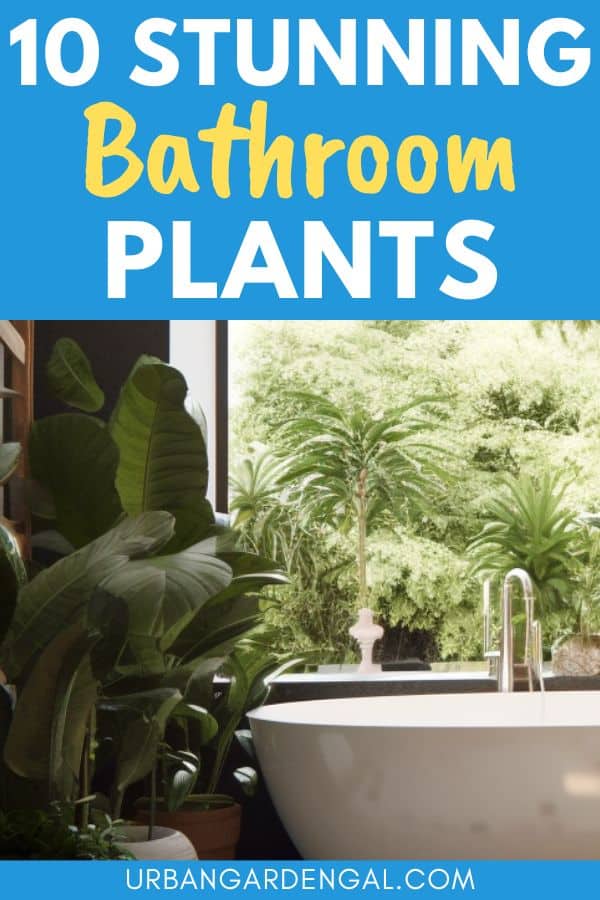 plants near a white bathtub