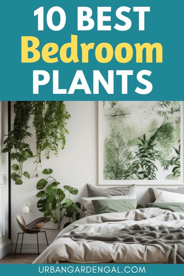 plants in a white bedroom