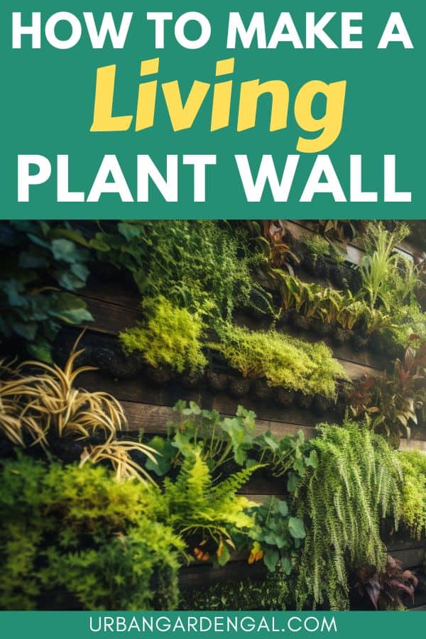 building a plant wall