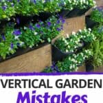 vertical garden plants