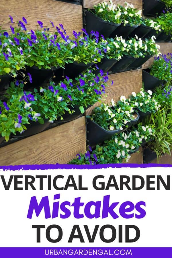 flowers in a vertical garden