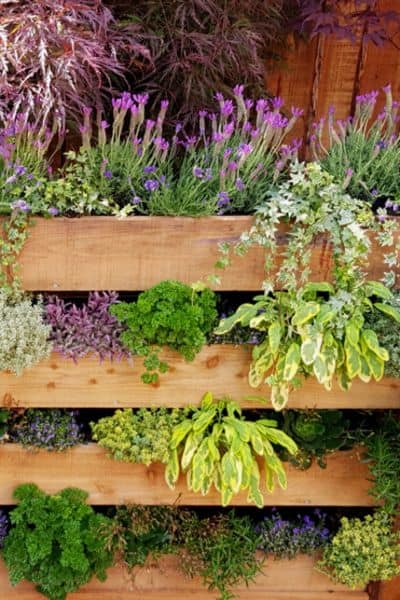 vertical herb garden