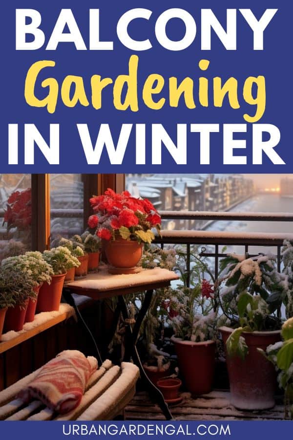 winterizing balcony plants