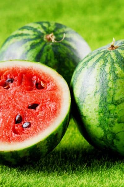 mini watermelons
