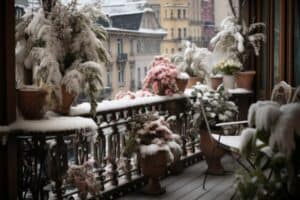 Read more about the article Winter Balcony Garden Care