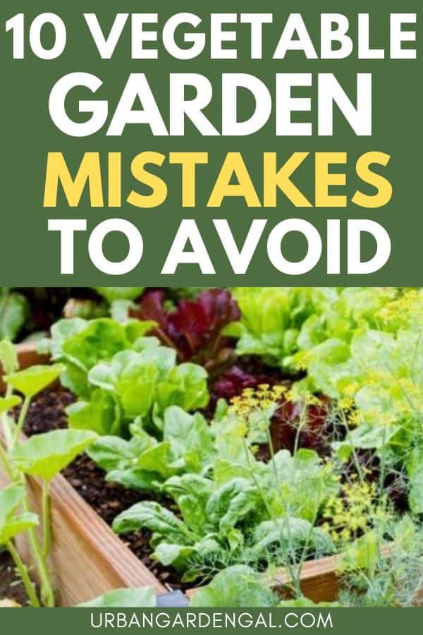 vegetable garden mistakes